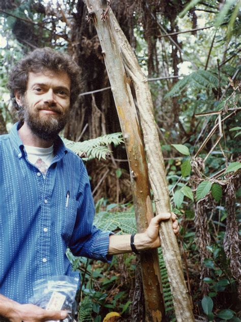 Link to Torrent full Terence Mckenna collection, audio video.